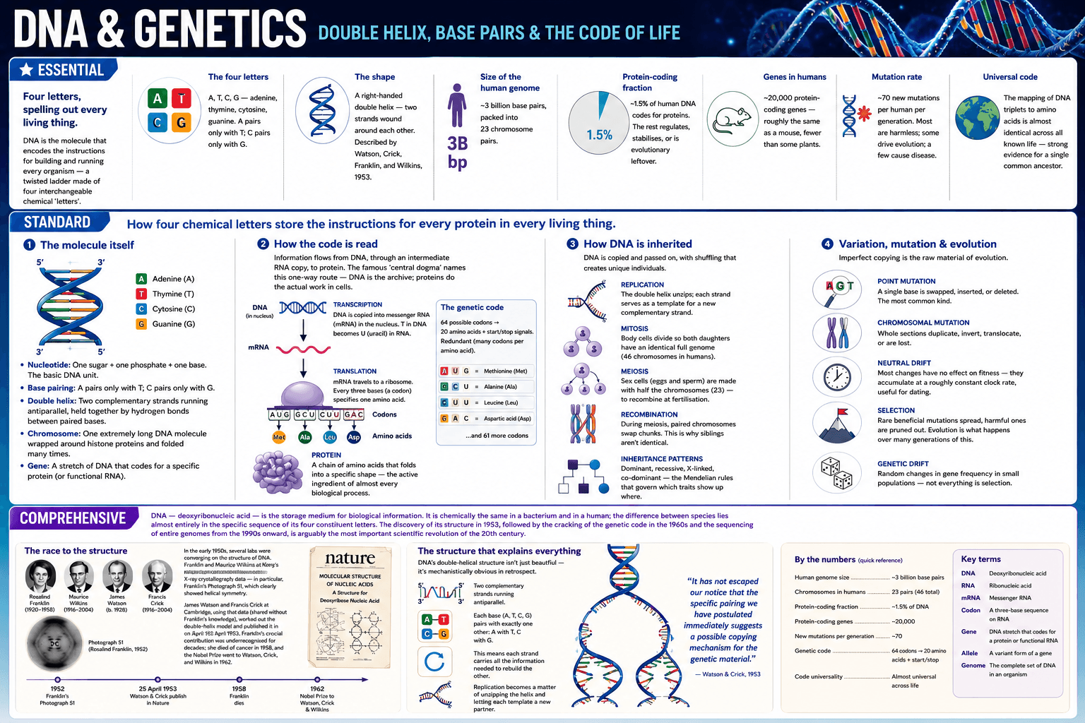 DNA & Genetics